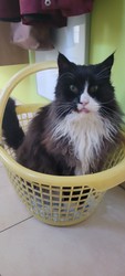 0119_Nemo.jpg