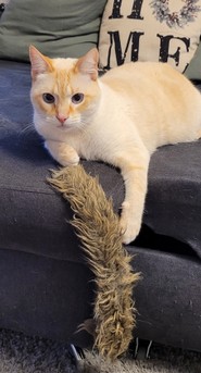 132_Winnie.jpg