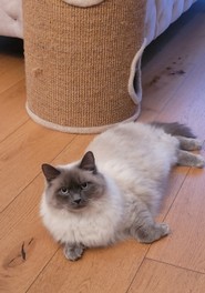 136_Tino.jpg