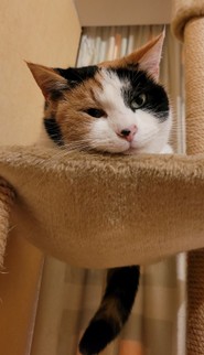139_Mila.jpg